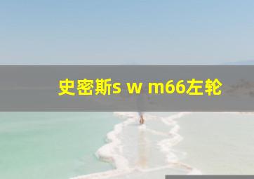 史密斯s w m66左轮